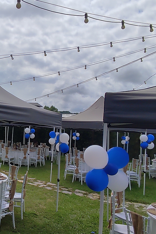 Düğün Organizasyonu